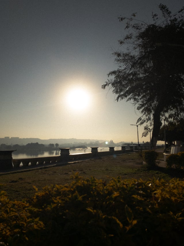 Low sunlight over a waterfront, with a tree, a stone railing and flowers in the foreground.