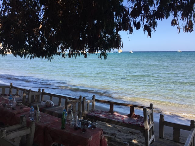 Tables and wooden benches in the shade of a tree, right beside the sea.