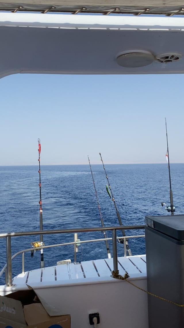 Fishing rods lined up along a boat railing, with open blue water beyond.